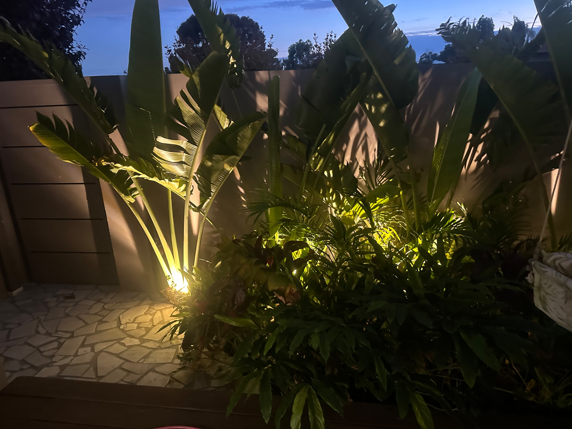Garden feature lighting at dusk
